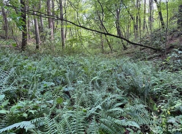 132 Hurd Road, Canton, NC 28716