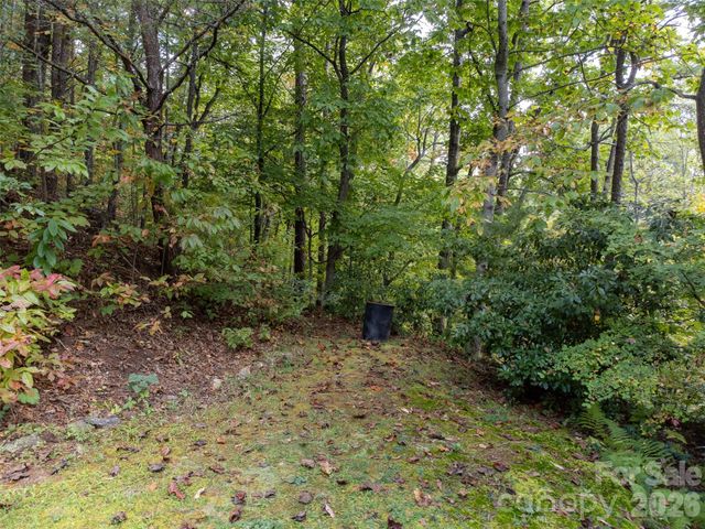 365 Duckback Trail, Whittier, NC 28789