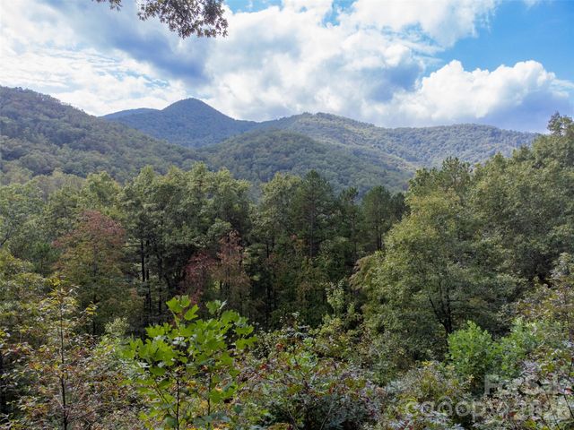 365 Duckback Trail, Whittier, NC 28789
