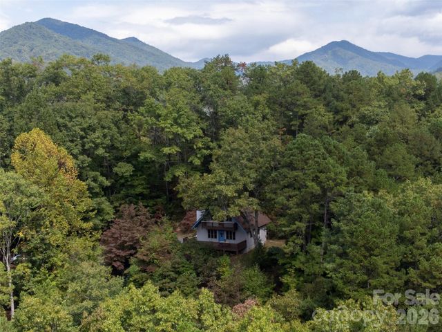 365 Duckback Trail, Whittier, NC 28789