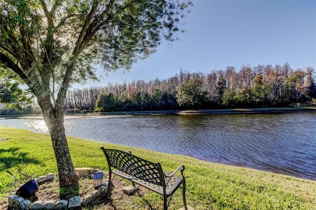 3333 BRENFORD PLACE, Land O Lakes, FL 34638