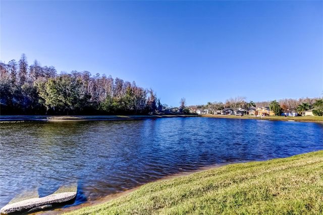 3333 BRENFORD PLACE, Land O Lakes, FL 34638