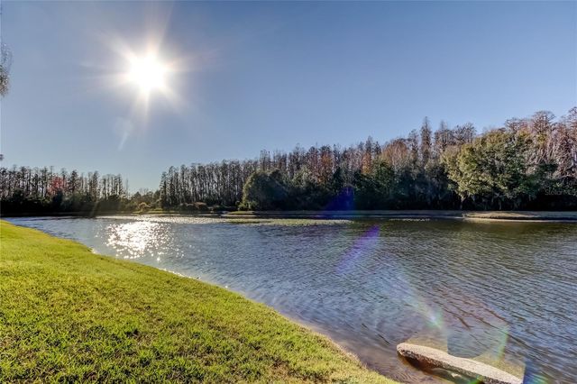 3333 BRENFORD PLACE, Land O Lakes, FL 34638