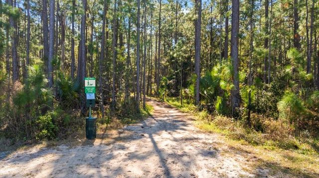 3371 MEDICI BOULEVARD, New Smyrna Beach, FL 32168