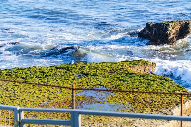 9 Rockview Drive, Santa Cruz, CA 95062