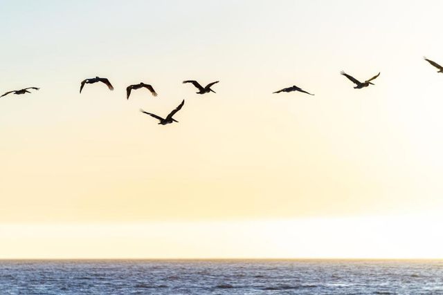 9 Rockview Drive, Santa Cruz, CA 95062