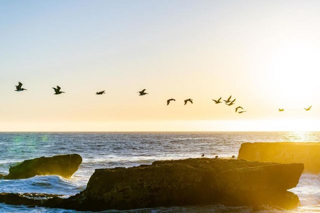 9 Rockview Drive, Santa Cruz, CA 95062