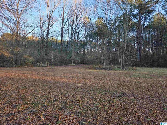 3033 MARBLE VALLEY ROAD, Sylacauga, AL 35151