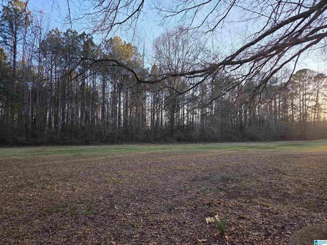 3033 MARBLE VALLEY ROAD, Sylacauga, AL 35151