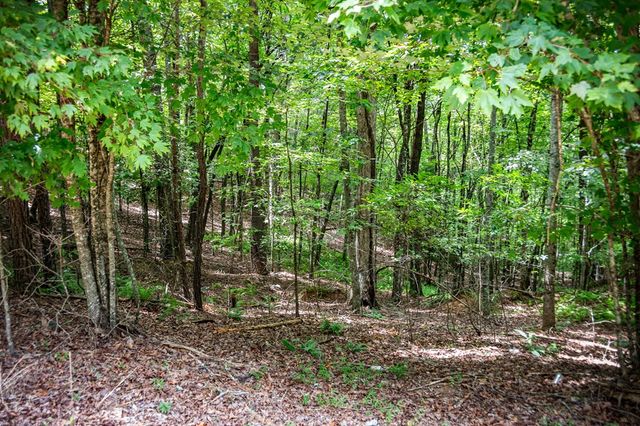 56 Robins Ridge, Blue Ridge, GA 30513