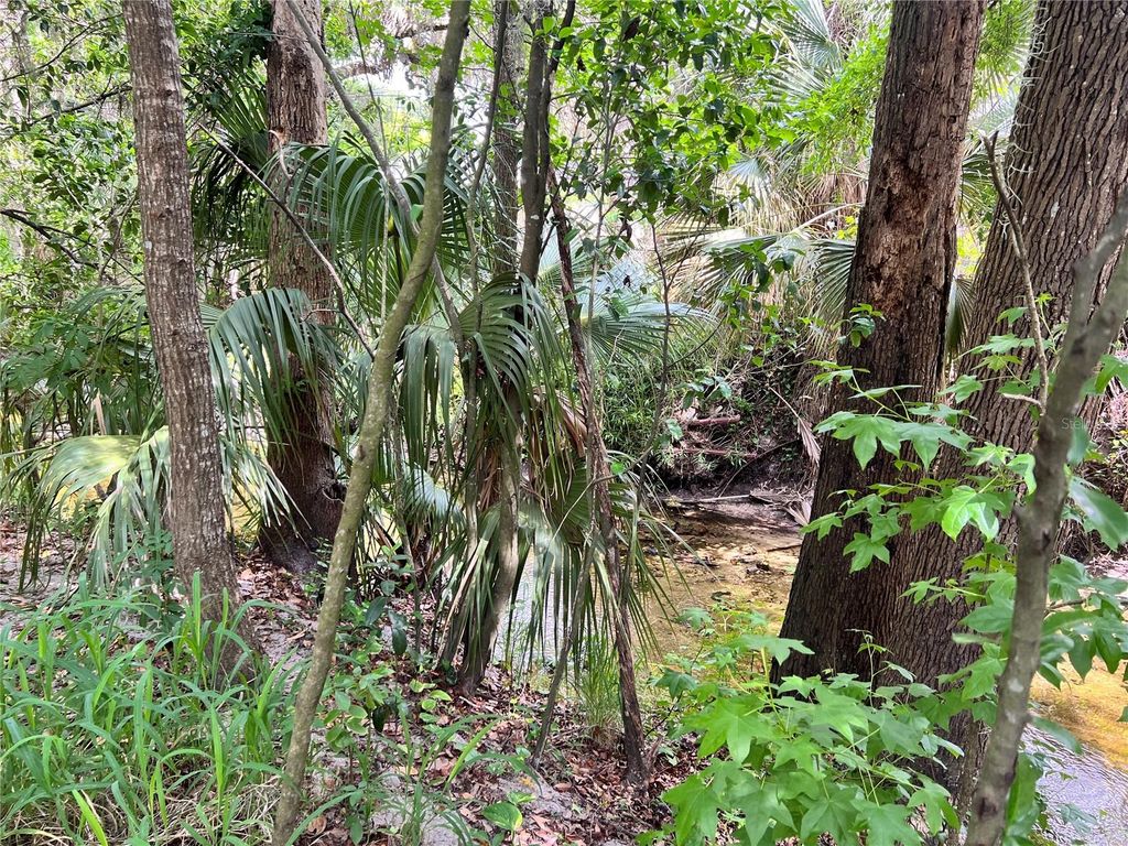 Image 32 of property listing at 652 ROARING DRIVE 230, Altamonte Springs, FL 32714
