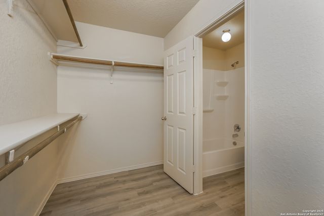 7539 Spanish Dagger, San Antonio, TX 78218