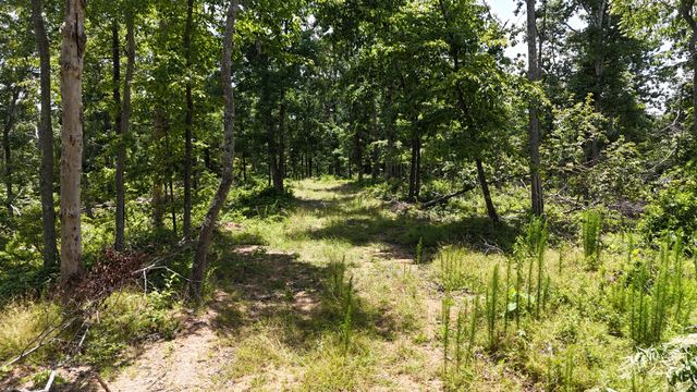 0 Wedgewood Dr, Linden, TN 37096