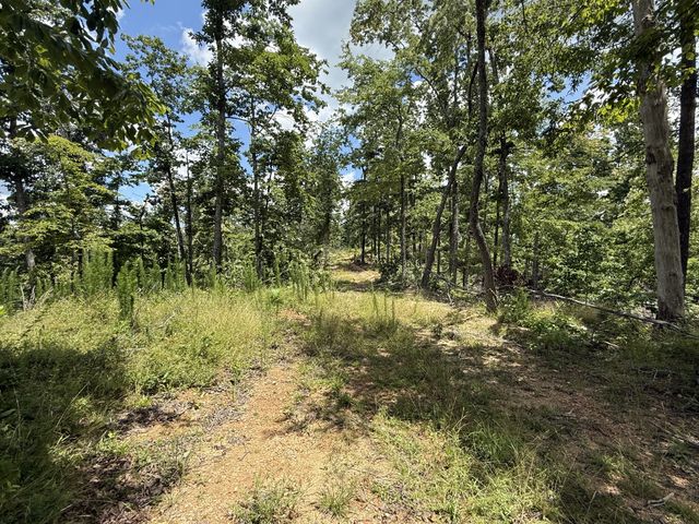 0 Wedgewood Dr, Linden, TN 37096
