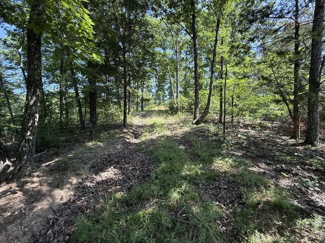 0 Wedgewood Dr, Linden, TN 37096