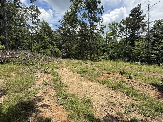 0 Wedgewood Dr, Linden, TN 37096
