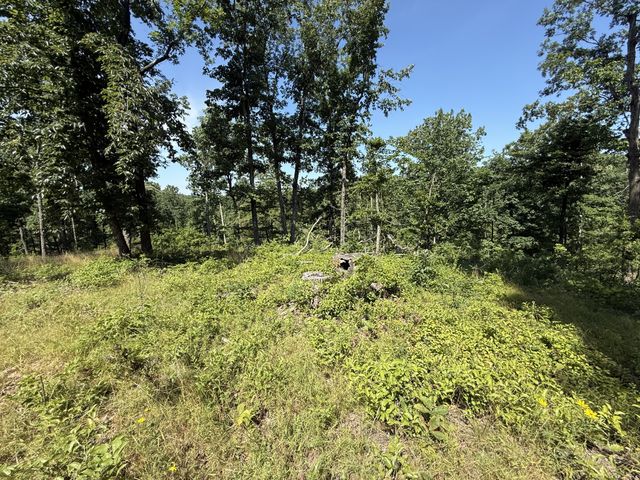 0 Wedgewood Dr, Linden, TN 37096