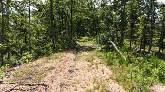 0 Wedgewood Dr, Linden, TN 37096