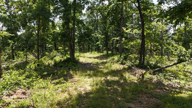 0 Wedgewood Dr, Linden, TN 37096