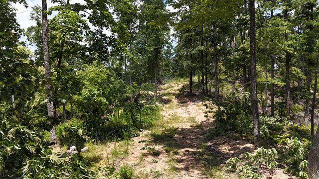 0 Wedgewood Dr, Linden, TN 37096
