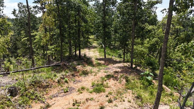 0 Wedgewood Dr, Linden, TN 37096