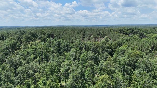 0 Wedgewood Dr, Linden, TN 37096