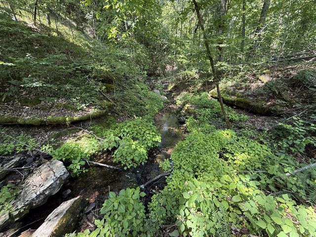 0 Wedgewood Dr, Linden, TN 37096