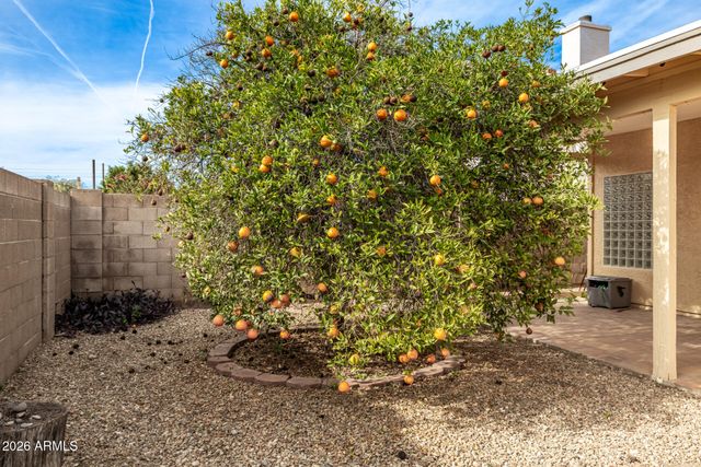 11615 W CYPRUS Drive, Avondale, AZ 85392