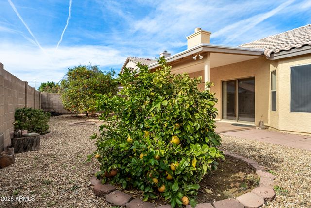 11615 W CYPRUS Drive, Avondale, AZ 85392