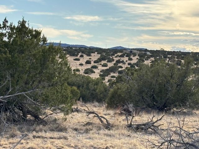 Lot 24 Pinon Springs Road, Magdalena, NM 87825