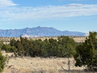 Lot 24 Pinon Springs Road, Magdalena, NM 87825