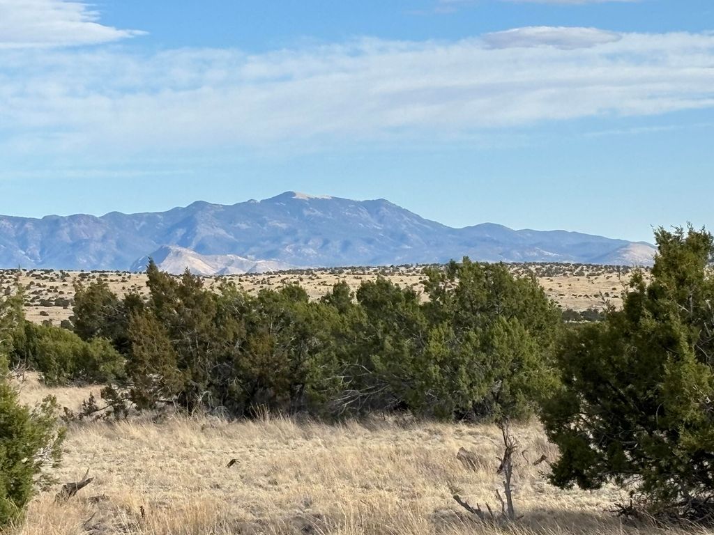 Lot 24 Pinon Springs Road, Magdalena, NM 87825