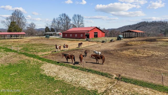 786 Swan Pond Circle Rd, Harriman, TN 37748