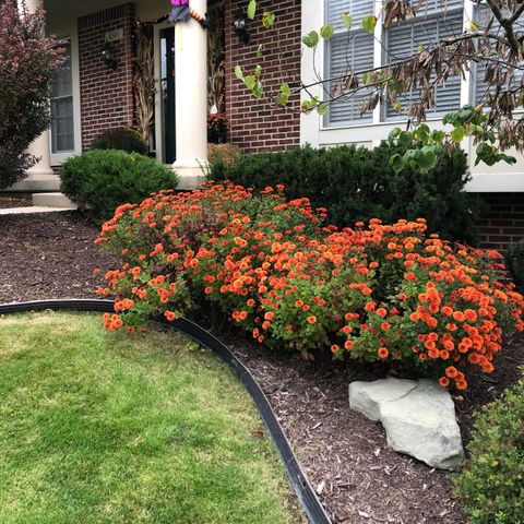 4501 Hickory Grove Court Ne, Grand Rapids Twp, MI 49301