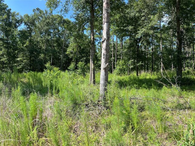 641 Rolling Pines Drive, Livingston, TX 77351