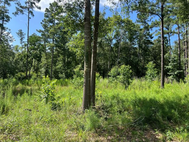 641 Rolling Pines Drive, Livingston, TX 77351