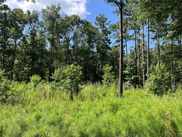 641 Rolling Pines Drive, Livingston, TX 77351