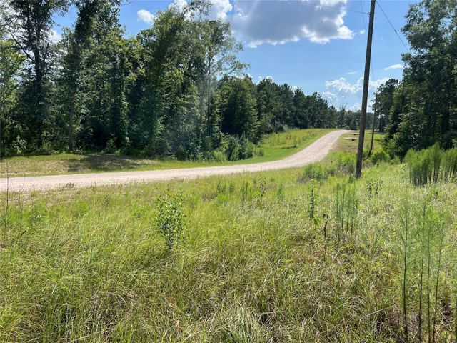 641 Rolling Pines Drive, Livingston, TX 77351