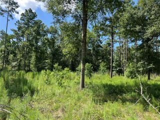641 Rolling Pines Drive, Livingston, TX 77351