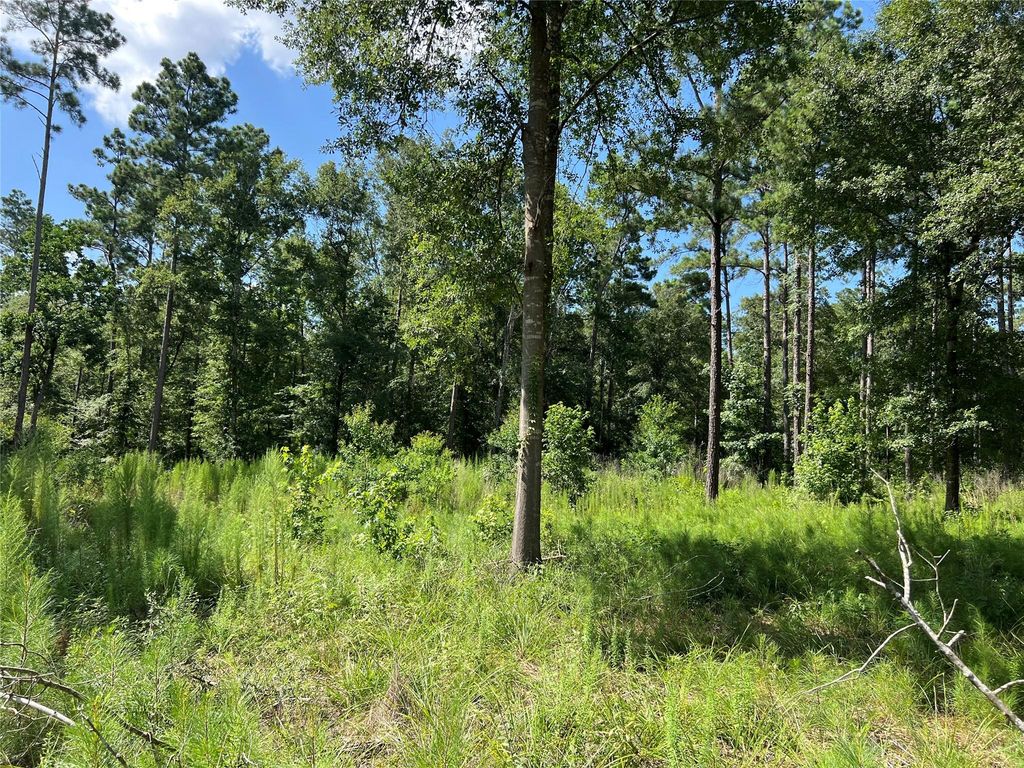 641 Rolling Pines Drive, Livingston, TX 77351