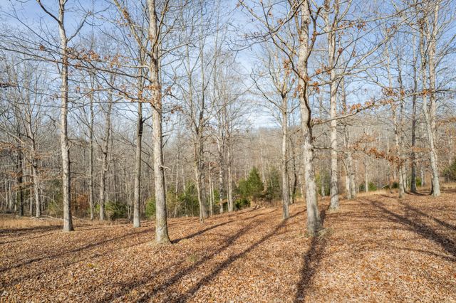 104 James Zimmerman Rd, Hampshire, TN 38461