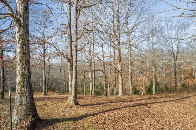 104 James Zimmerman Rd, Hampshire, TN 38461