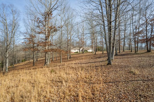 104 James Zimmerman Rd, Hampshire, TN 38461