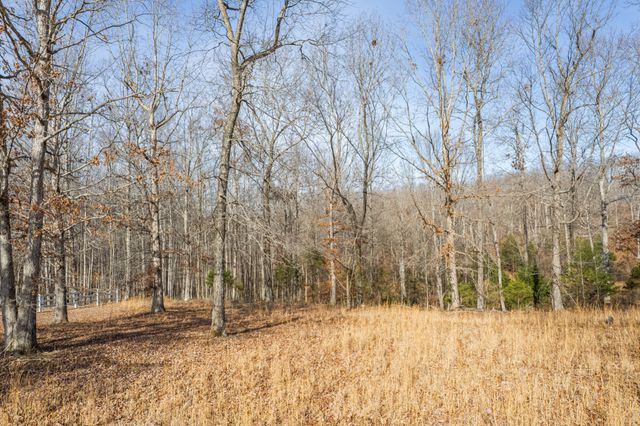 104 James Zimmerman Rd, Hampshire, TN 38461