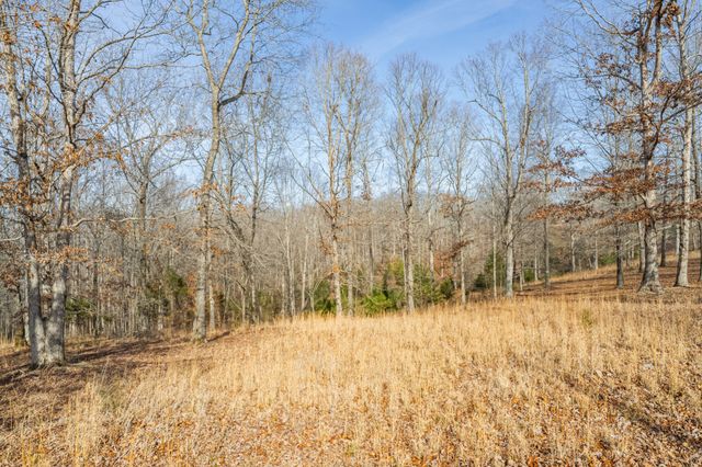 104 James Zimmerman Rd, Hampshire, TN 38461