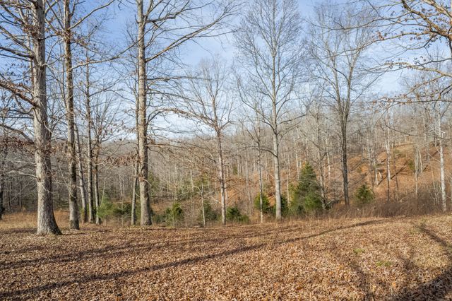 104 James Zimmerman Rd, Hampshire, TN 38461