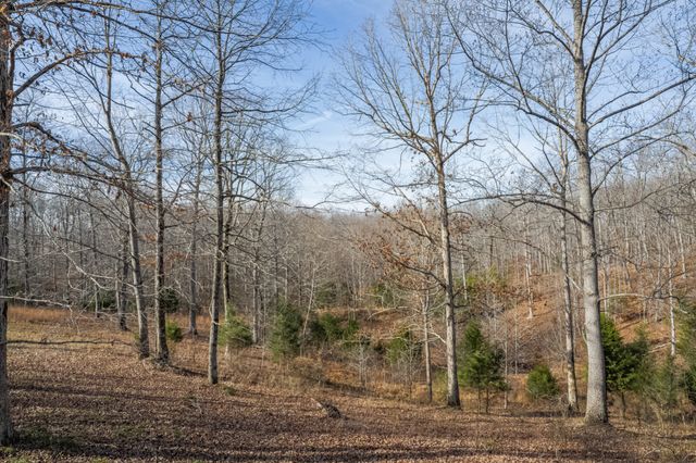 104 James Zimmerman Rd, Hampshire, TN 38461