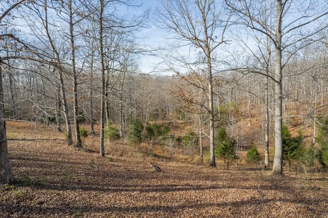 104 James Zimmerman Rd, Hampshire, TN 38461