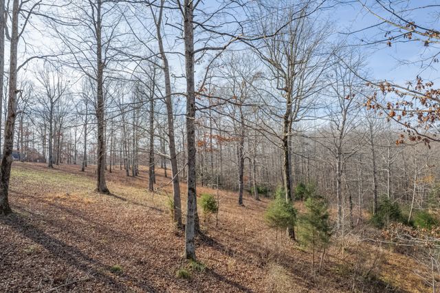 104 James Zimmerman Rd, Hampshire, TN 38461