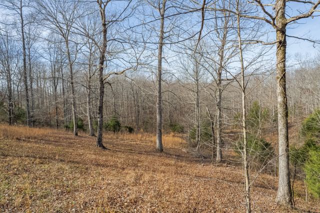 104 James Zimmerman Rd, Hampshire, TN 38461